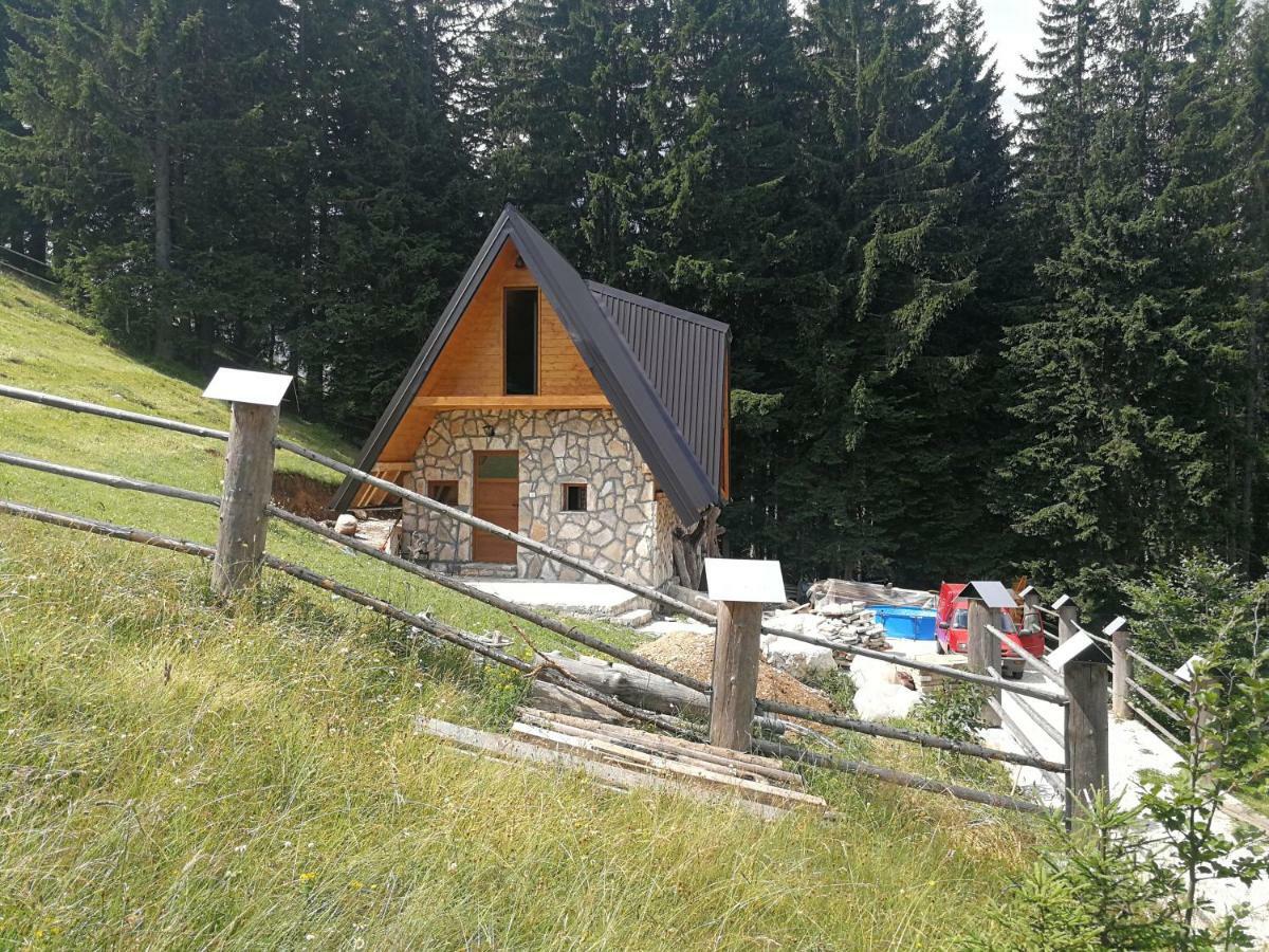 Guesthouse Planinarski Dom Neviden'O Žabljak Eksteriør bilde