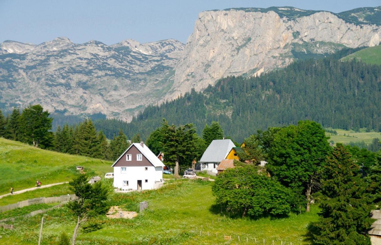 Guesthouse Planinarski Dom Neviden'O Žabljak Eksteriør bilde